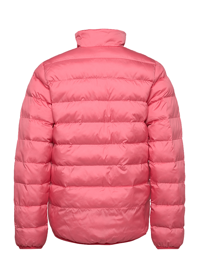 Helly Hansen - JR MARKA INSULATOR JACKET - jakas ar siltu oderi - coral almon - 1