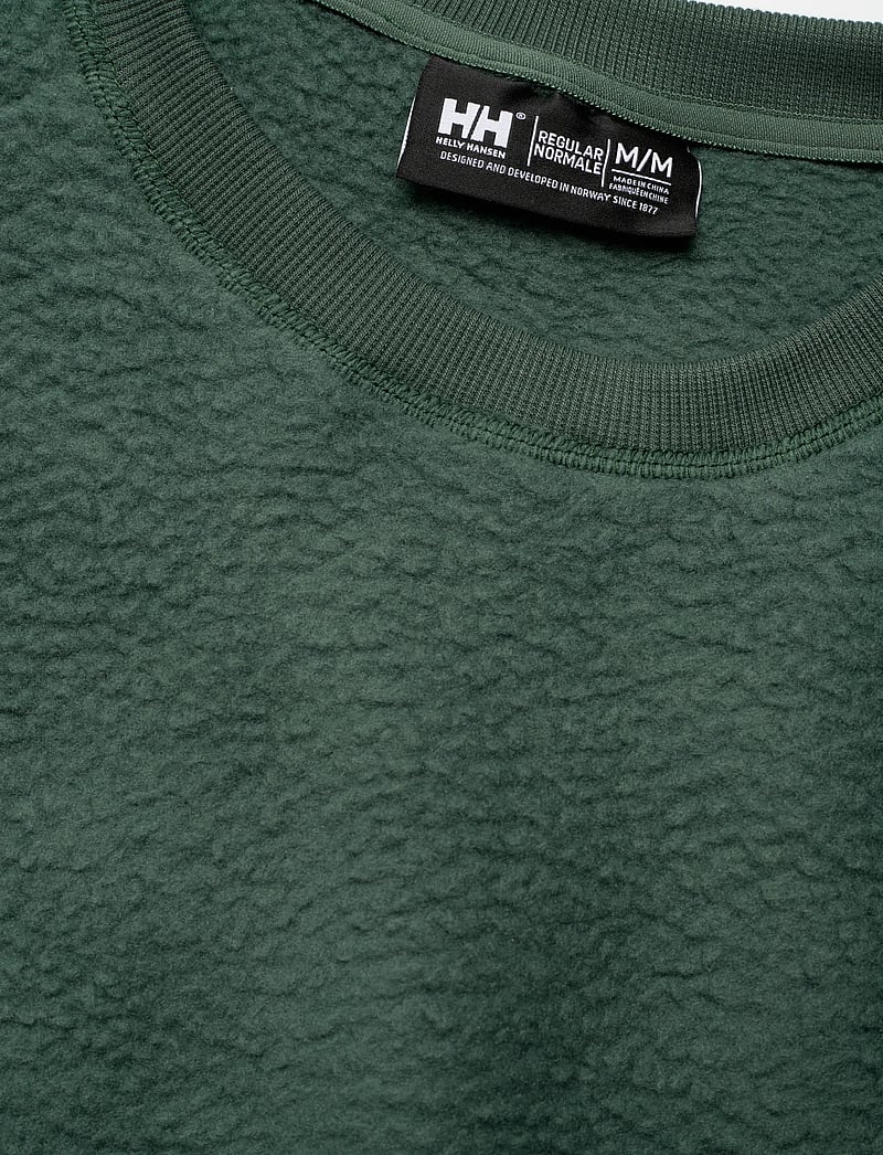 Helly Hansen - W ESCAPE TEDDY SWEATER - Överdelar - green - 2