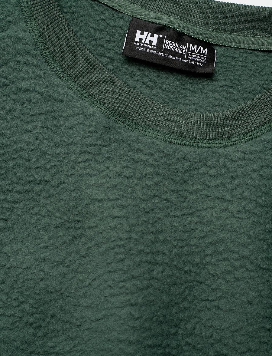 Helly Hansen - W ESCAPE TEDDY SWEATER - oberteile - green - 2