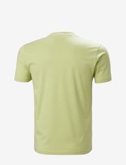 Helly Hansen - HH BOX T - short-sleeved t-shirts - iced matcha - 3