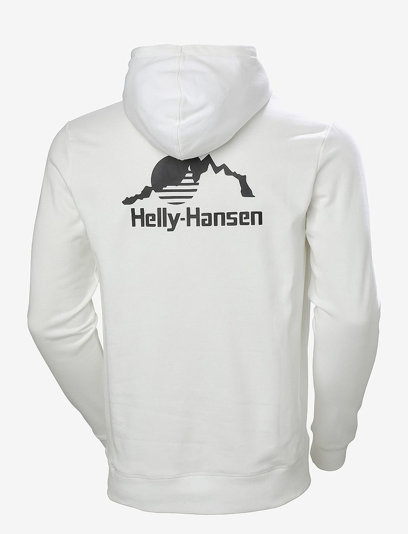 Helly Hansen - YU HOODIE 2.0 - overdele - white - 1