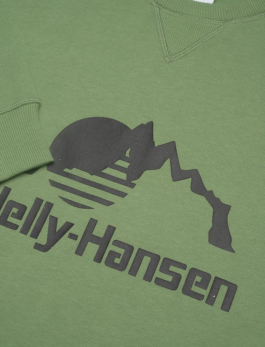 Helly Hansen - YU CREW SWEATER 2.0 - Överdelar - jade 2.0 - 4