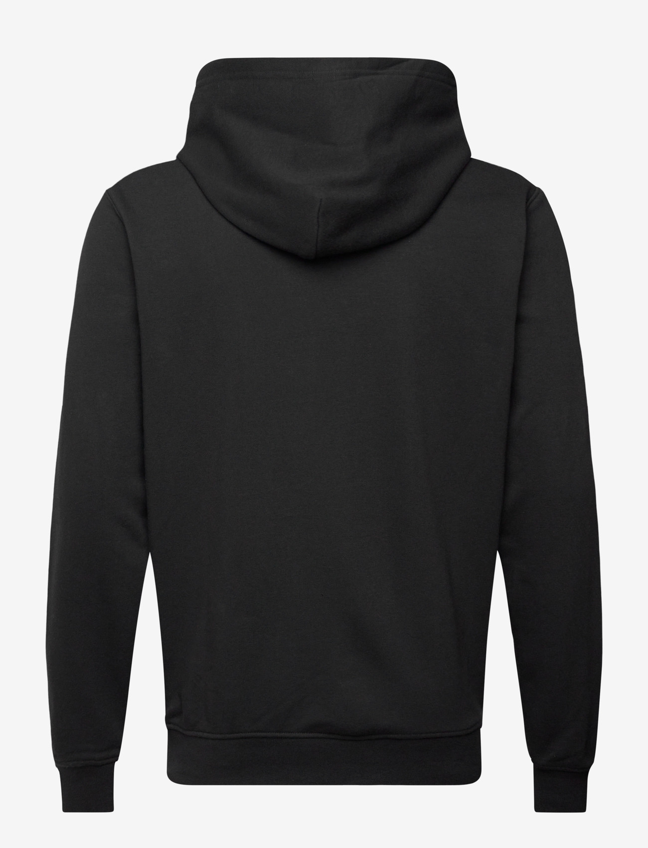 Helly Hansen - CORE GRAPHIC SWEAT HOODIE - oberteile - black - 1