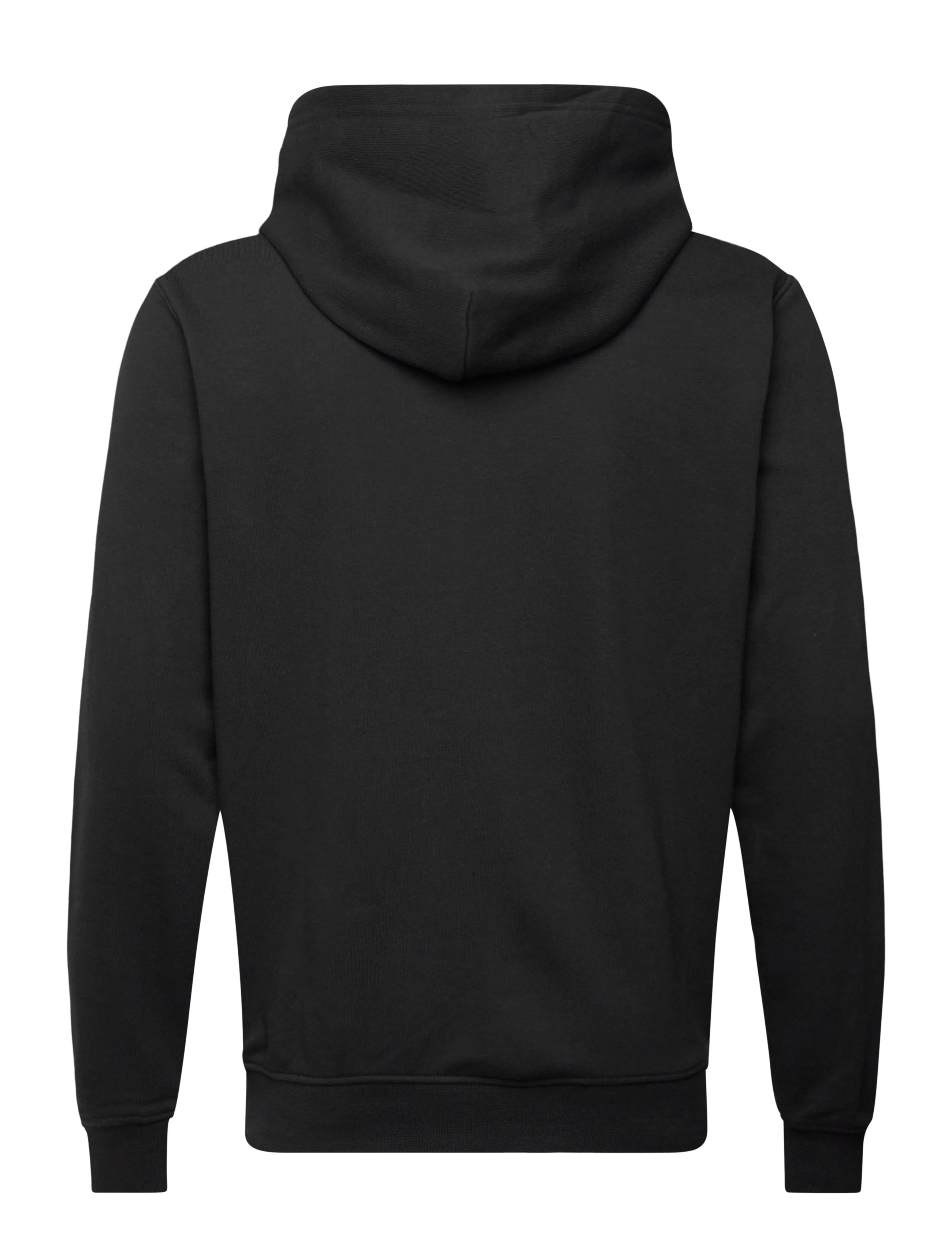 Helly Hansen - CORE GRAPHIC SWEAT HOODIE - hupparit - black - 1