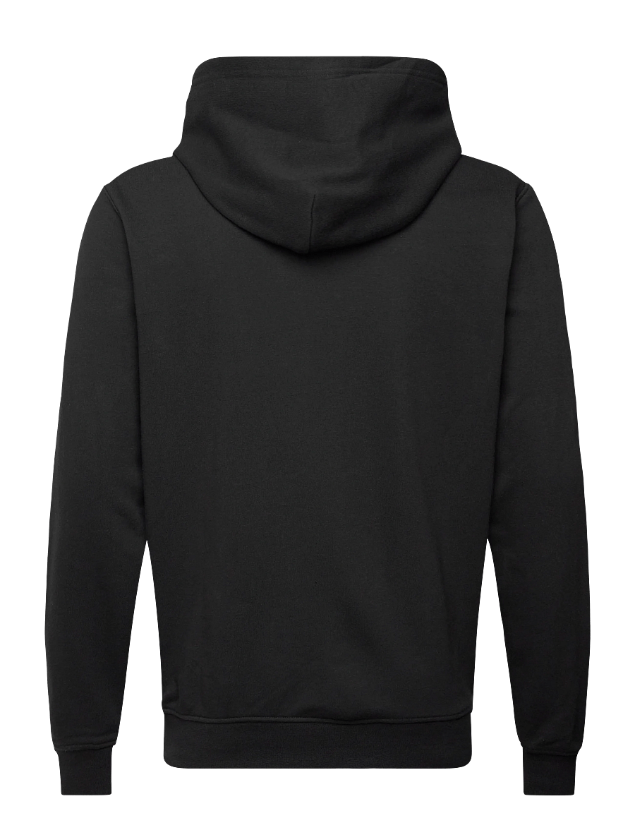 Helly Hansen - CORE GRAPHIC SWEAT HOODIE - huvtröjor - black - 1
