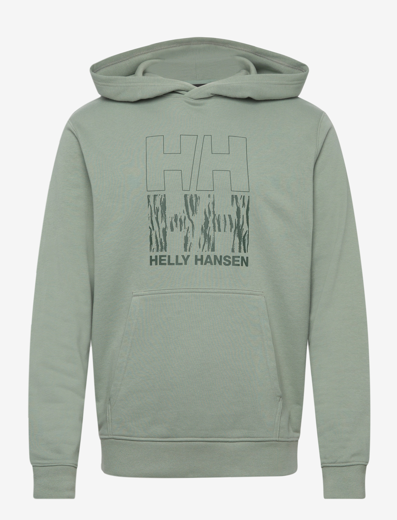 Helly Hansen - CORE GRAPHIC SWEAT HOODIE - oberteile - eucalyptus - 0