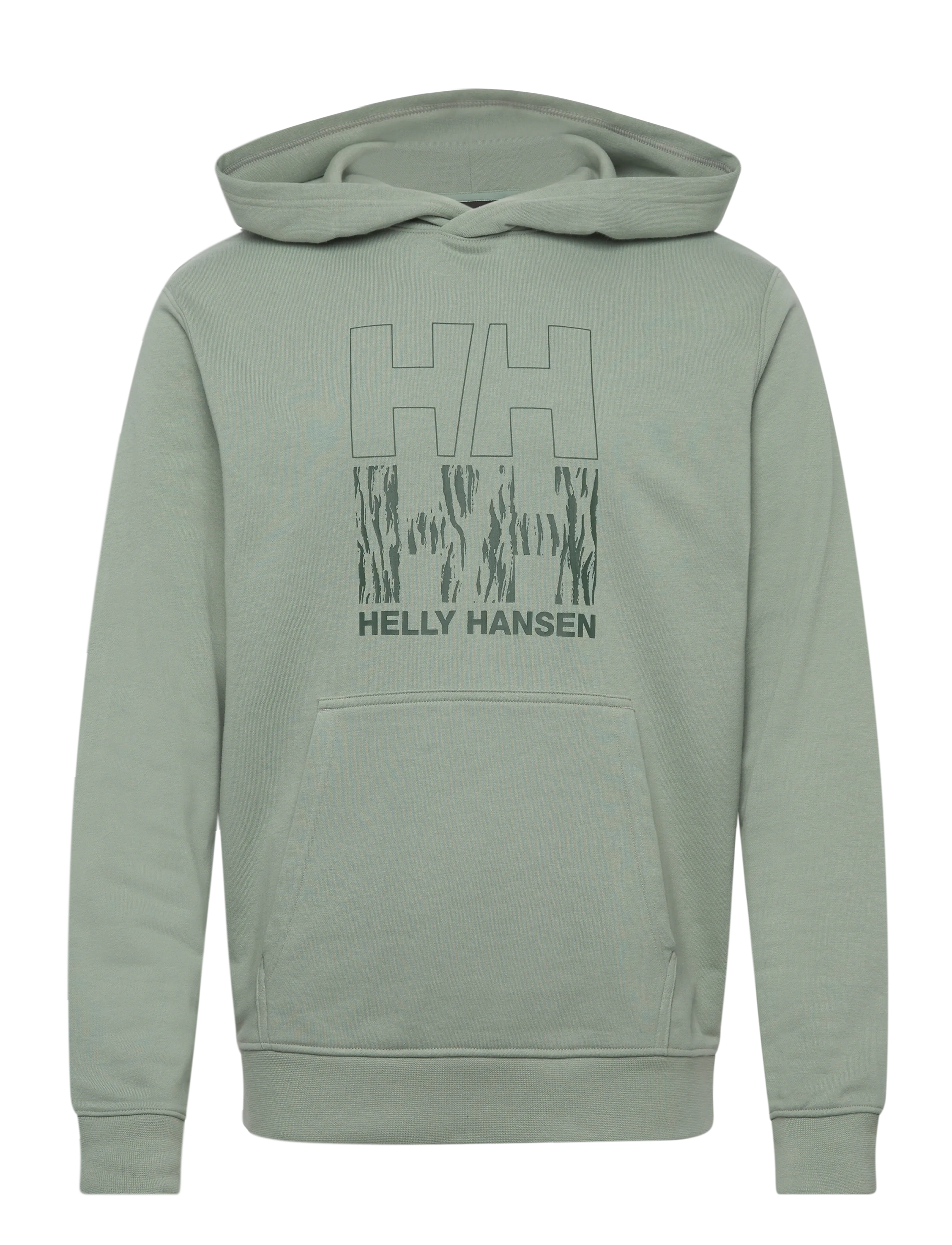 Helly Hansen CORE GRAPHIC SWEAT HOODIE - Sweatshirts - EUCALYPTUS / green