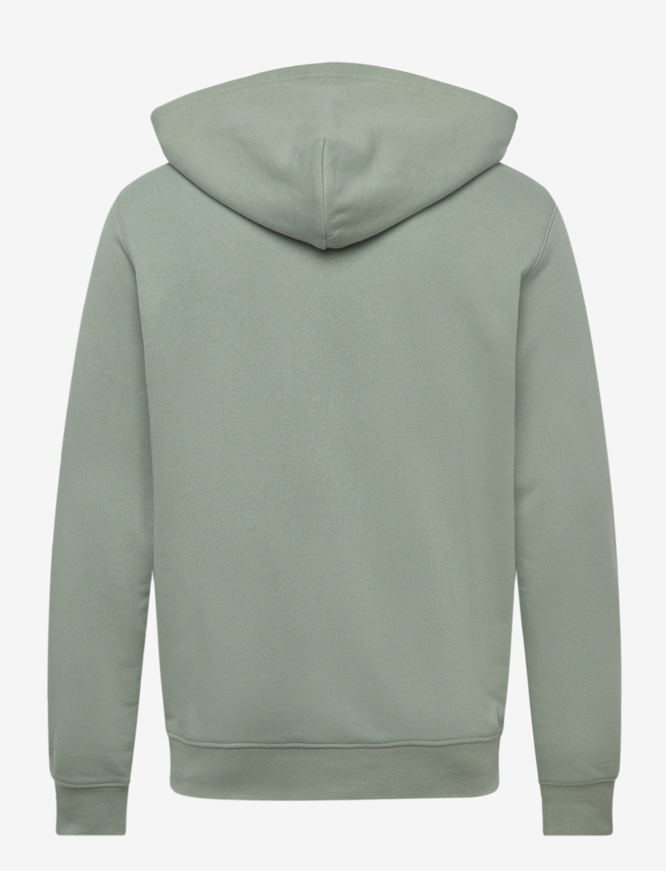 Helly Hansen - CORE GRAPHIC SWEAT HOODIE - oberteile - eucalyptus - 1