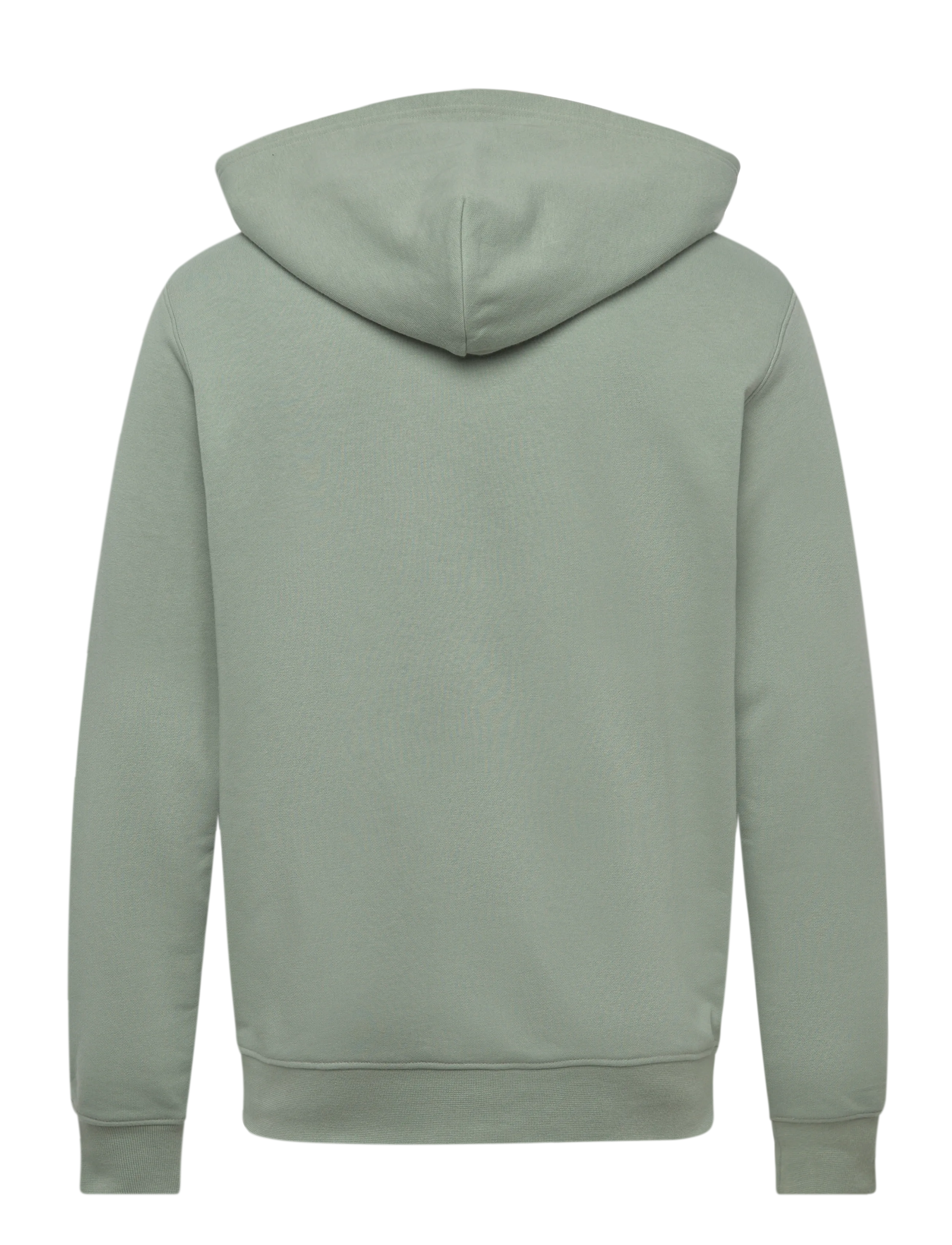 Helly Hansen - CORE GRAPHIC SWEAT HOODIE - hættetrøjer - eucalyptus - 1