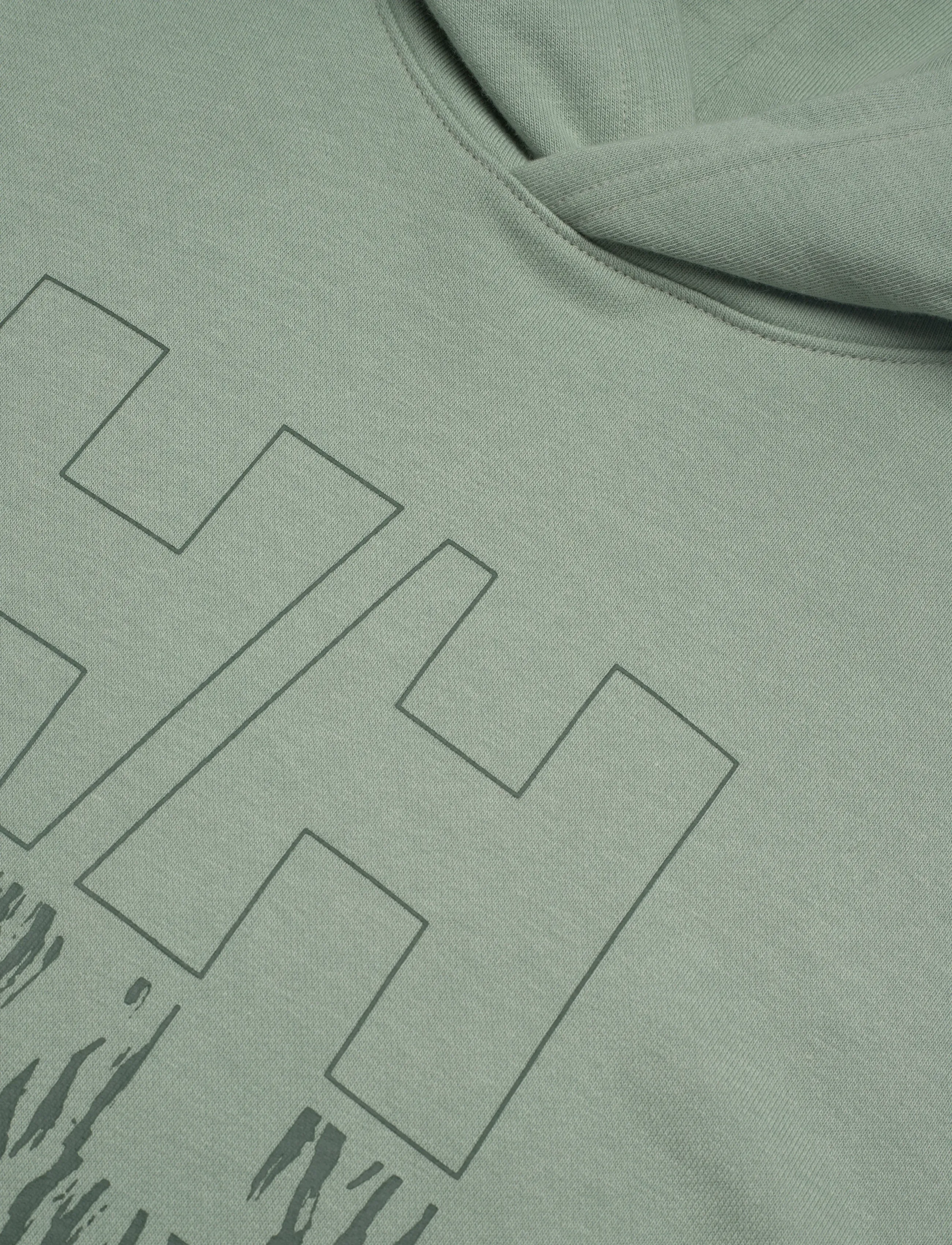 Helly Hansen - CORE GRAPHIC SWEAT HOODIE - tops - eucalyptus - 2