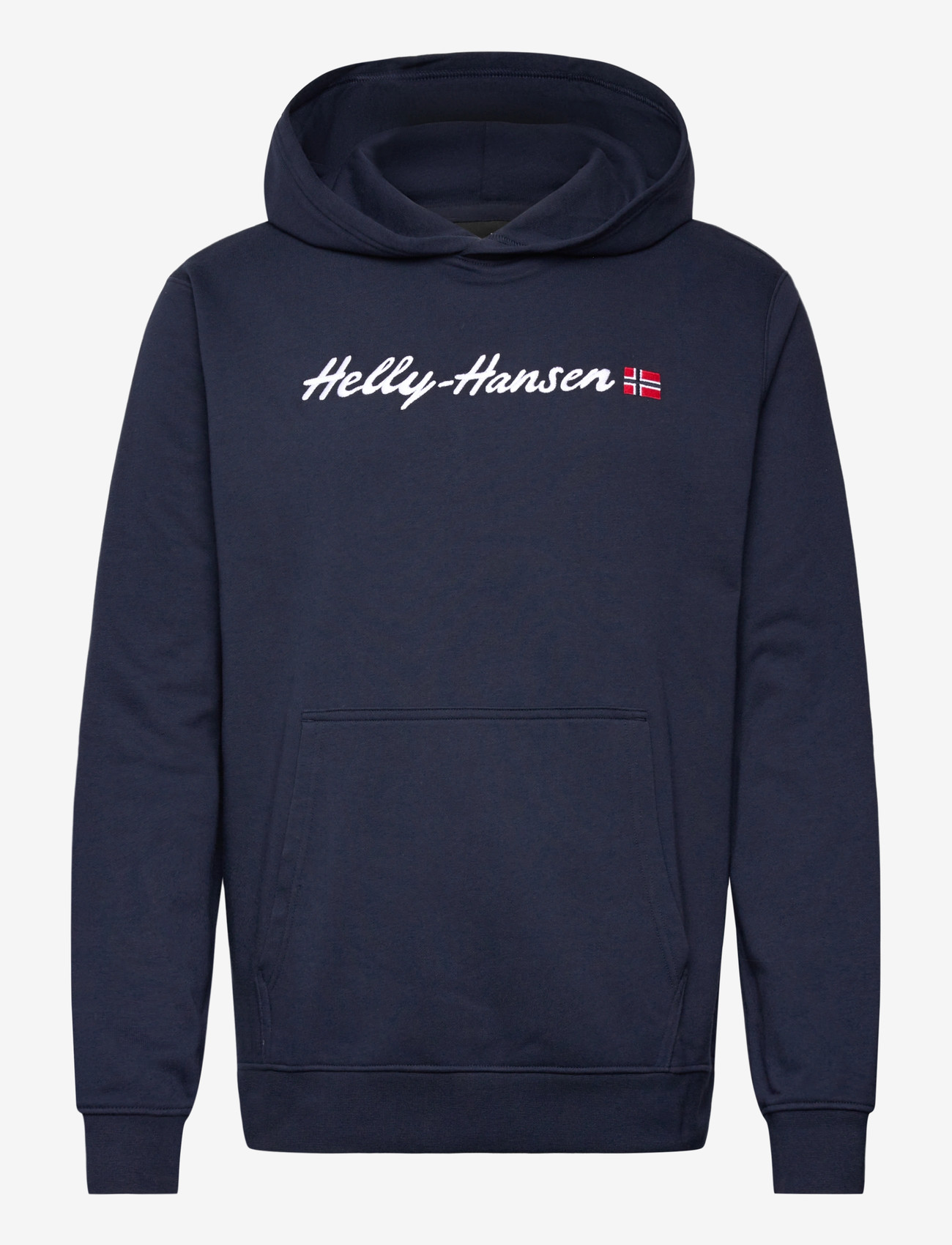 Helly Hansen - CORE GRAPHIC SWEAT HOODIE - overdele - navy - 0