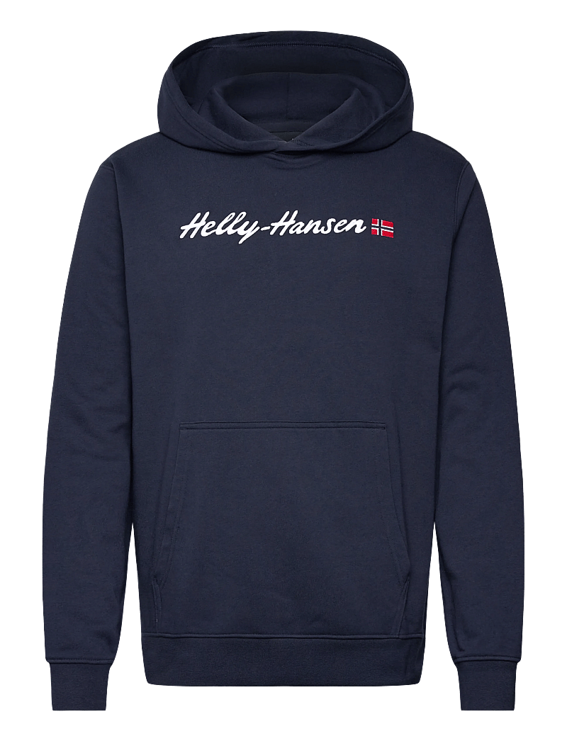 Helly Hansen - CORE GRAPHIC SWEAT HOODIE - overdele - navy - 0