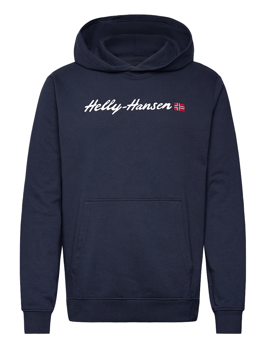 Helly Hansen - CORE GRAPHIC SWEAT HOODIE - sweatshirts - navy - 0