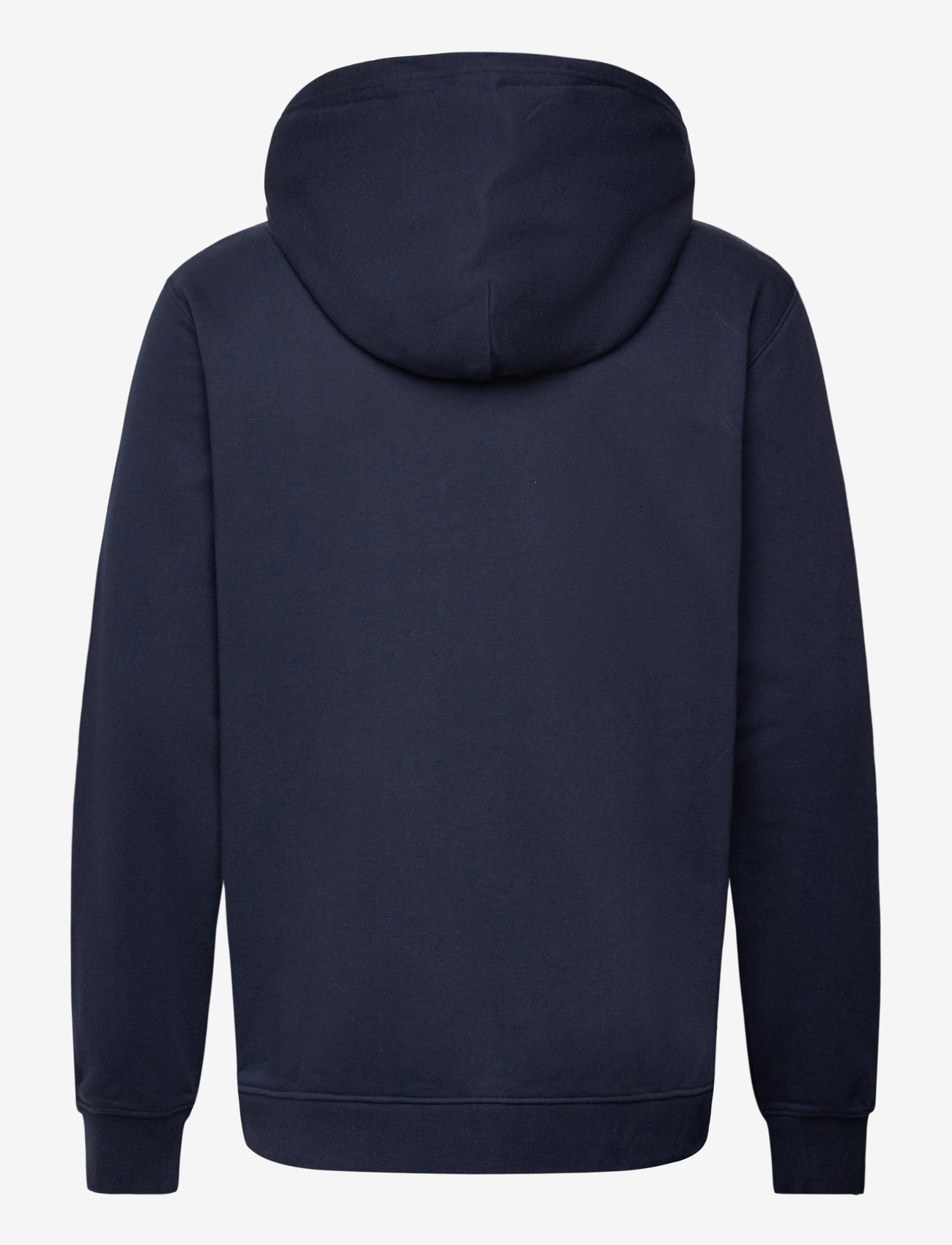 Helly Hansen - CORE GRAPHIC SWEAT HOODIE - overdele - navy - 1