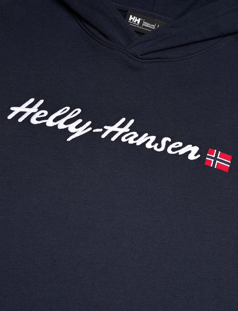 Helly Hansen - CORE GRAPHIC SWEAT HOODIE - overdele - navy - 2