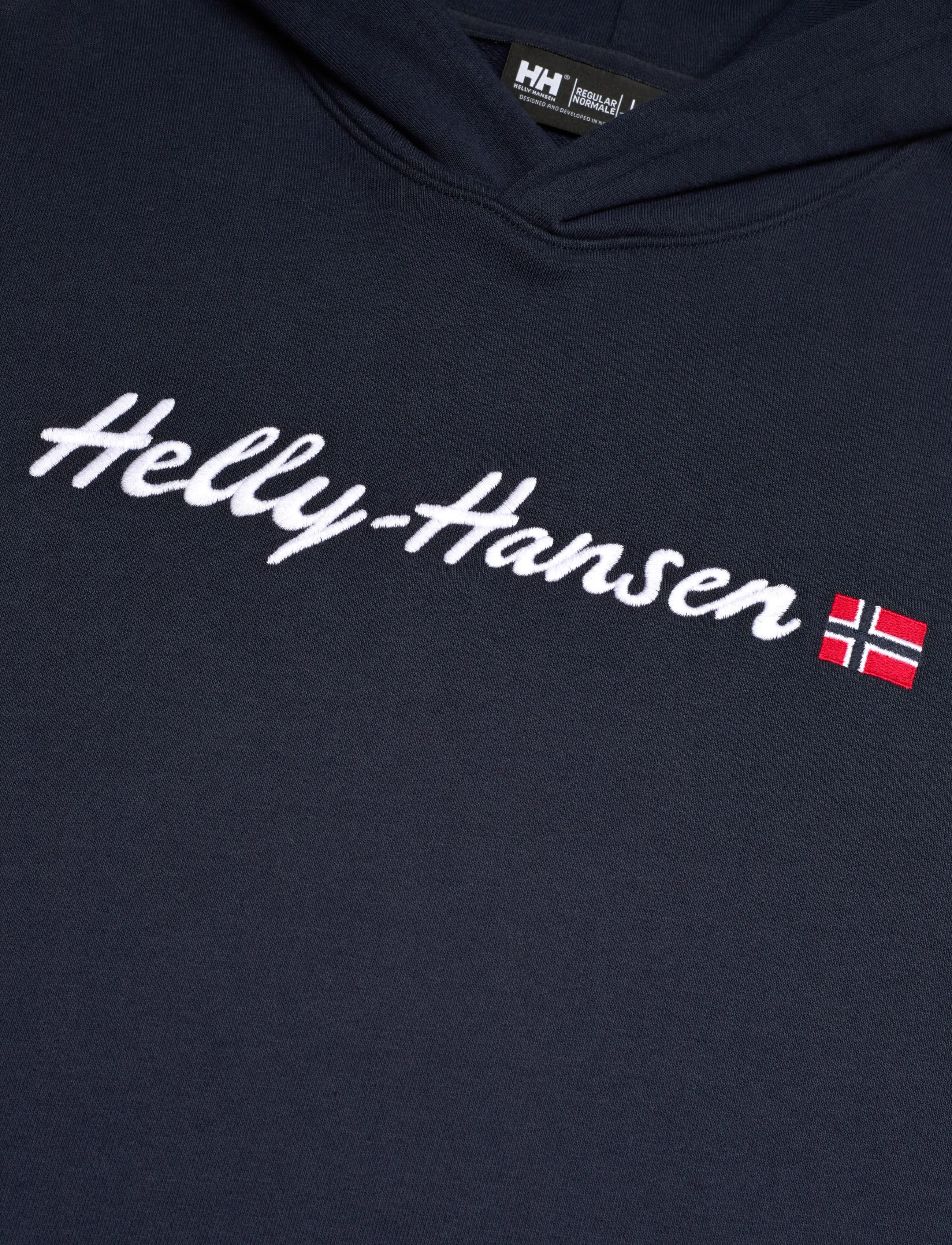 Helly Hansen - CORE GRAPHIC SWEAT HOODIE - tops - navy - 2