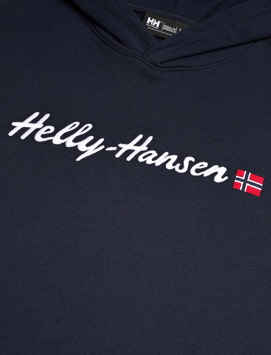 Helly Hansen - CORE GRAPHIC SWEAT HOODIE - sweatshirts - navy - 2