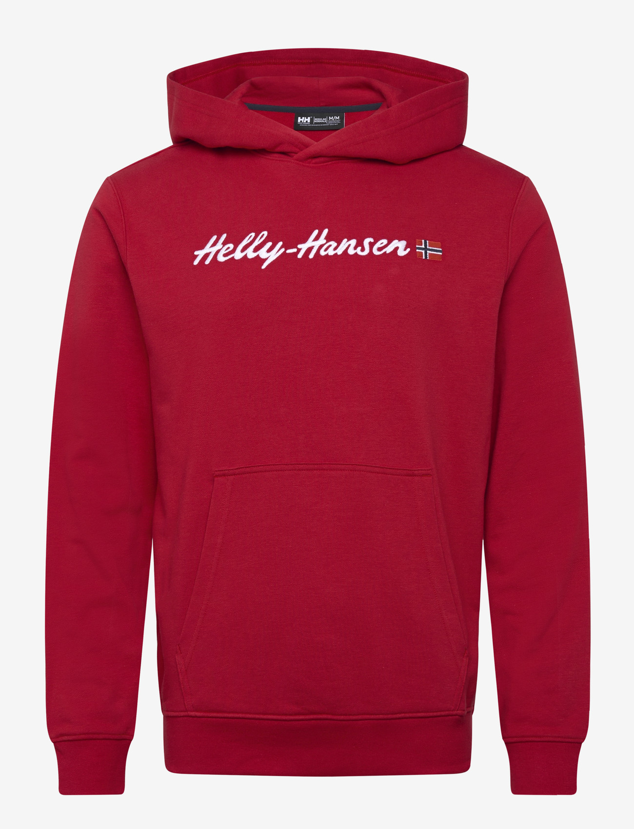 Helly Hansen - CORE GRAPHIC SWEAT HOODIE - oberteile - red - 0