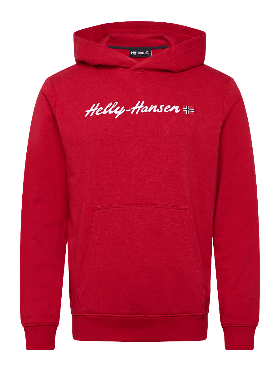 Helly Hansen - CORE GRAPHIC SWEAT HOODIE - huvtröjor - red - 0