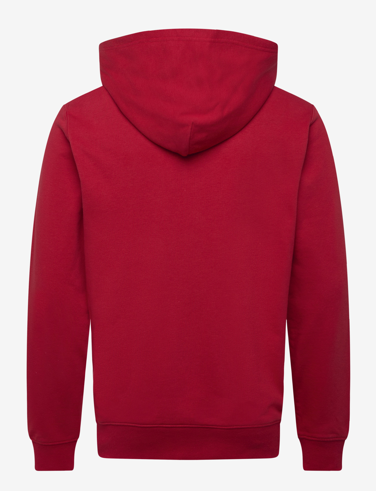 Helly Hansen - CORE GRAPHIC SWEAT HOODIE - oberteile - red - 1