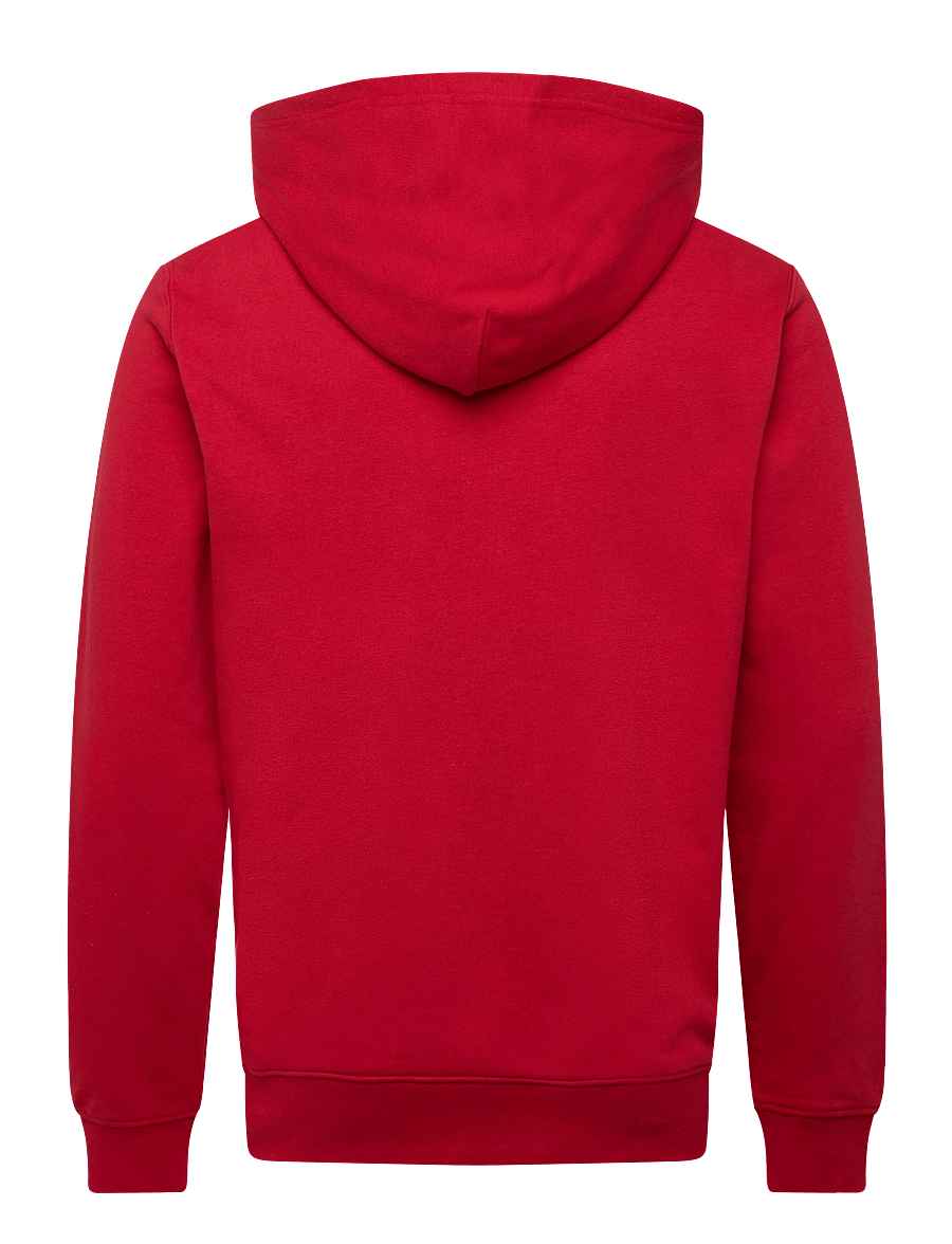 Helly Hansen - CORE GRAPHIC SWEAT HOODIE - huvtröjor - red - 1