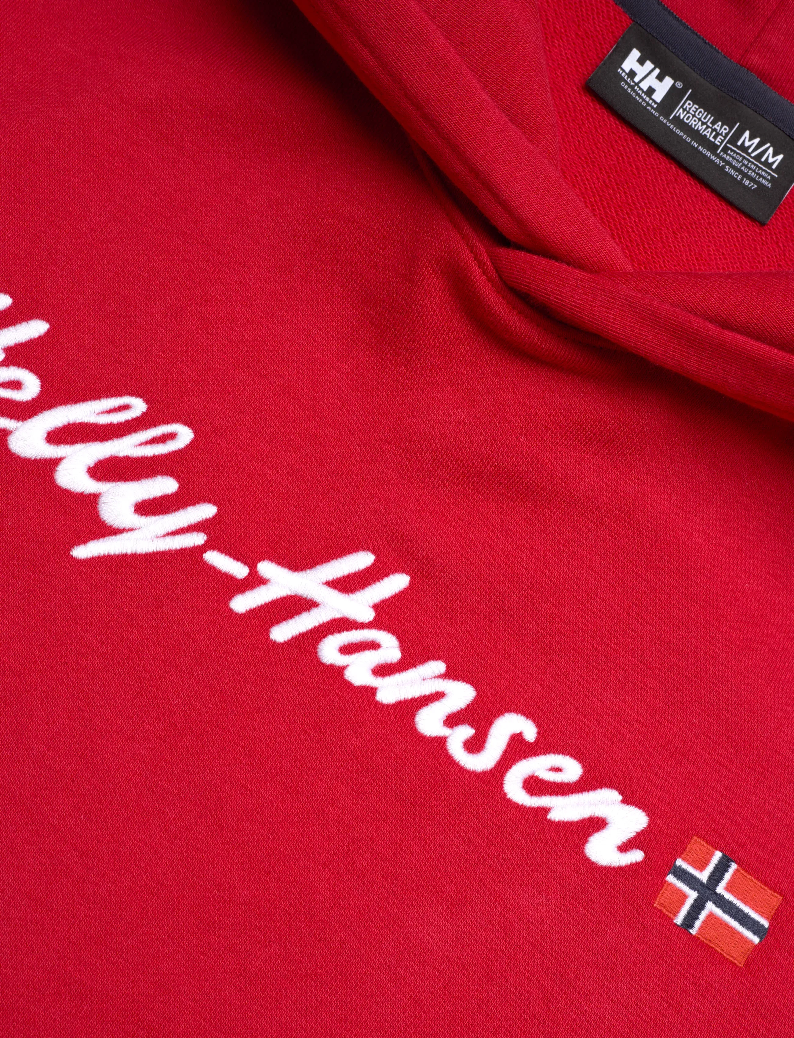 Helly Hansen - CORE GRAPHIC SWEAT HOODIE - overdeler - red - 2