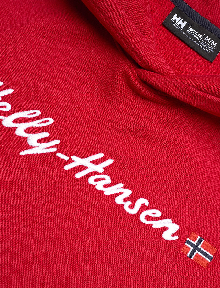 Helly Hansen - CORE GRAPHIC SWEAT HOODIE - huvtröjor - red - 2