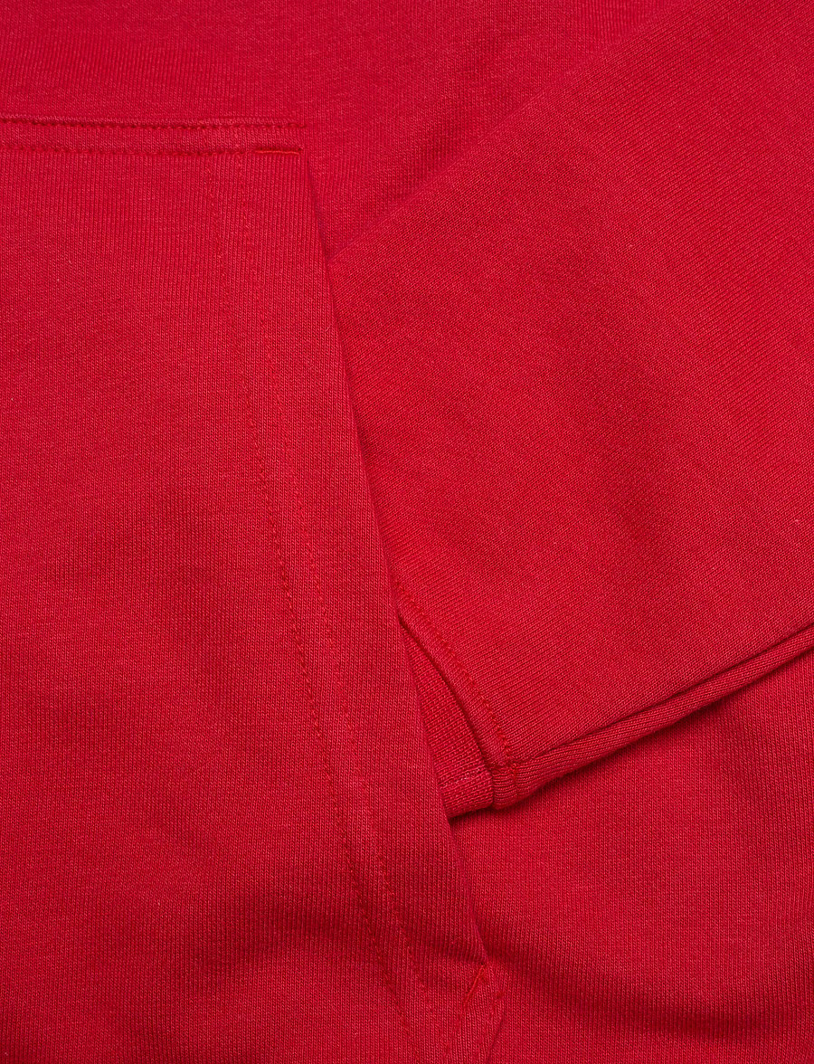 Helly Hansen - CORE GRAPHIC SWEAT HOODIE - huvtröjor - red - 3