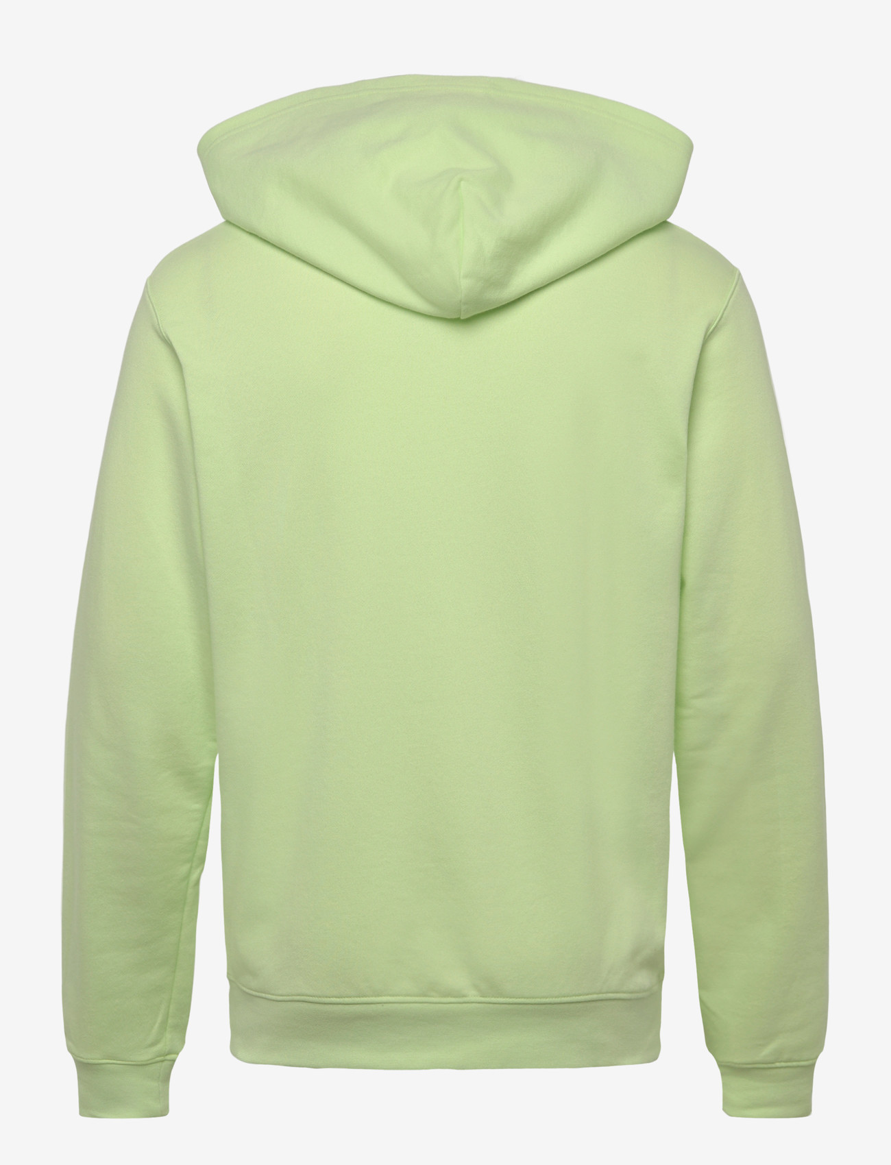 Helly Hansen - CORE GRAPHIC SWEAT HOODIE - oberteile - washed lime - 1