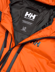 Helly Hansen - PARK PUFFY PARKA - padded jackets - patrol oran - 8