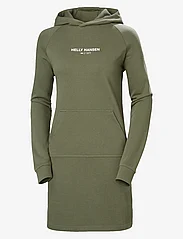 Helly Hansen - W CORE HOODIE DRESS - sweatshirt-kjoler - lav green - 0