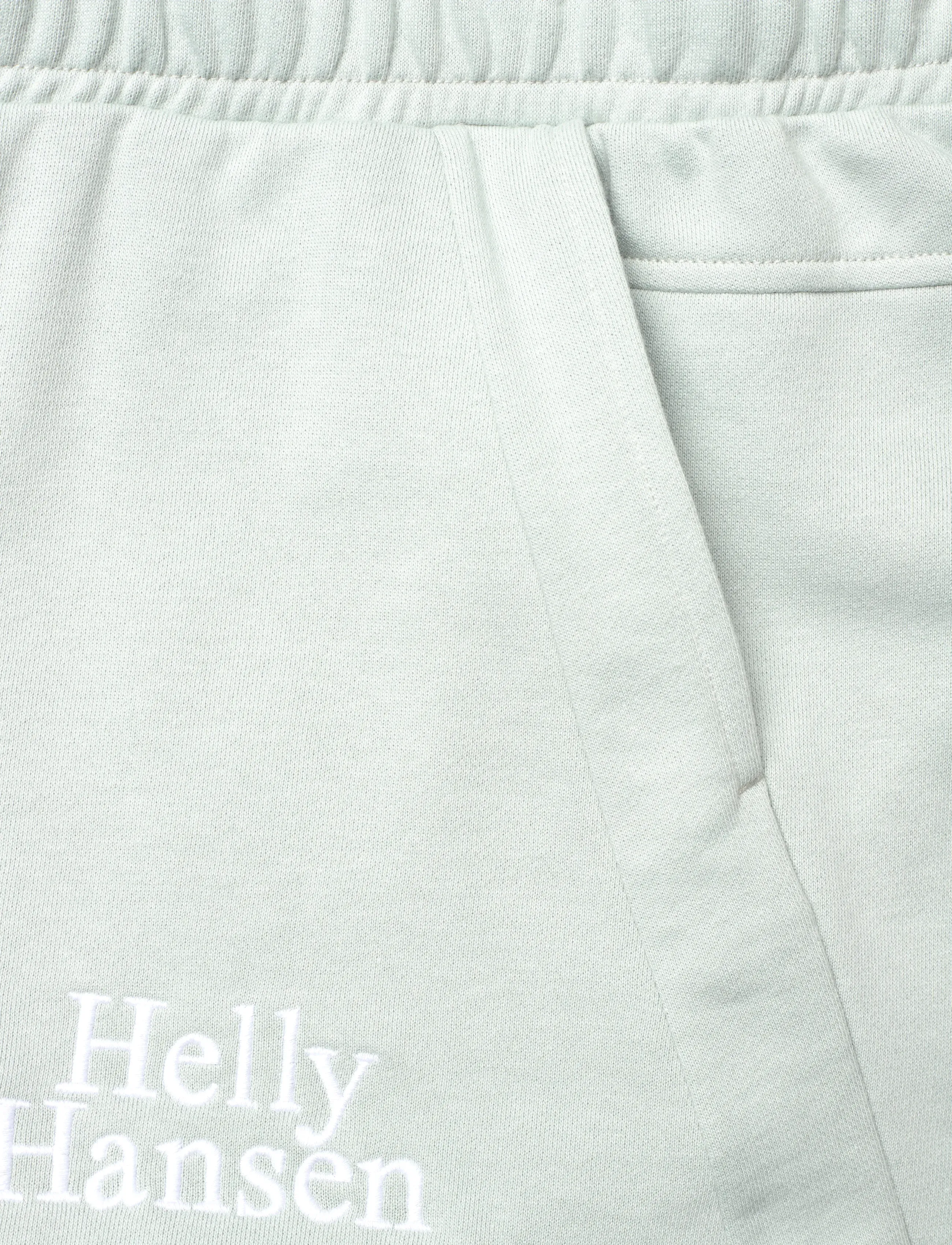 Helly Hansen - W CORE SWEAT SHORTS - sweatshorts - green mist - 2
