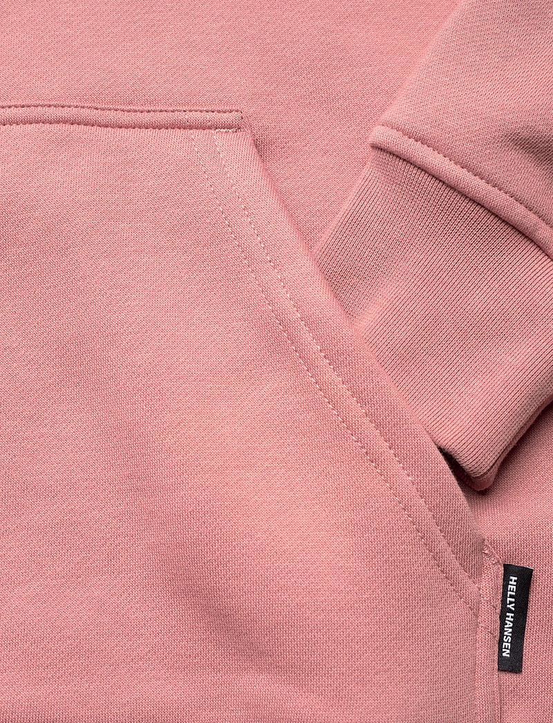 Helly Hansen - W ELEVATE HOODIE - oberteile - ash rose - 3