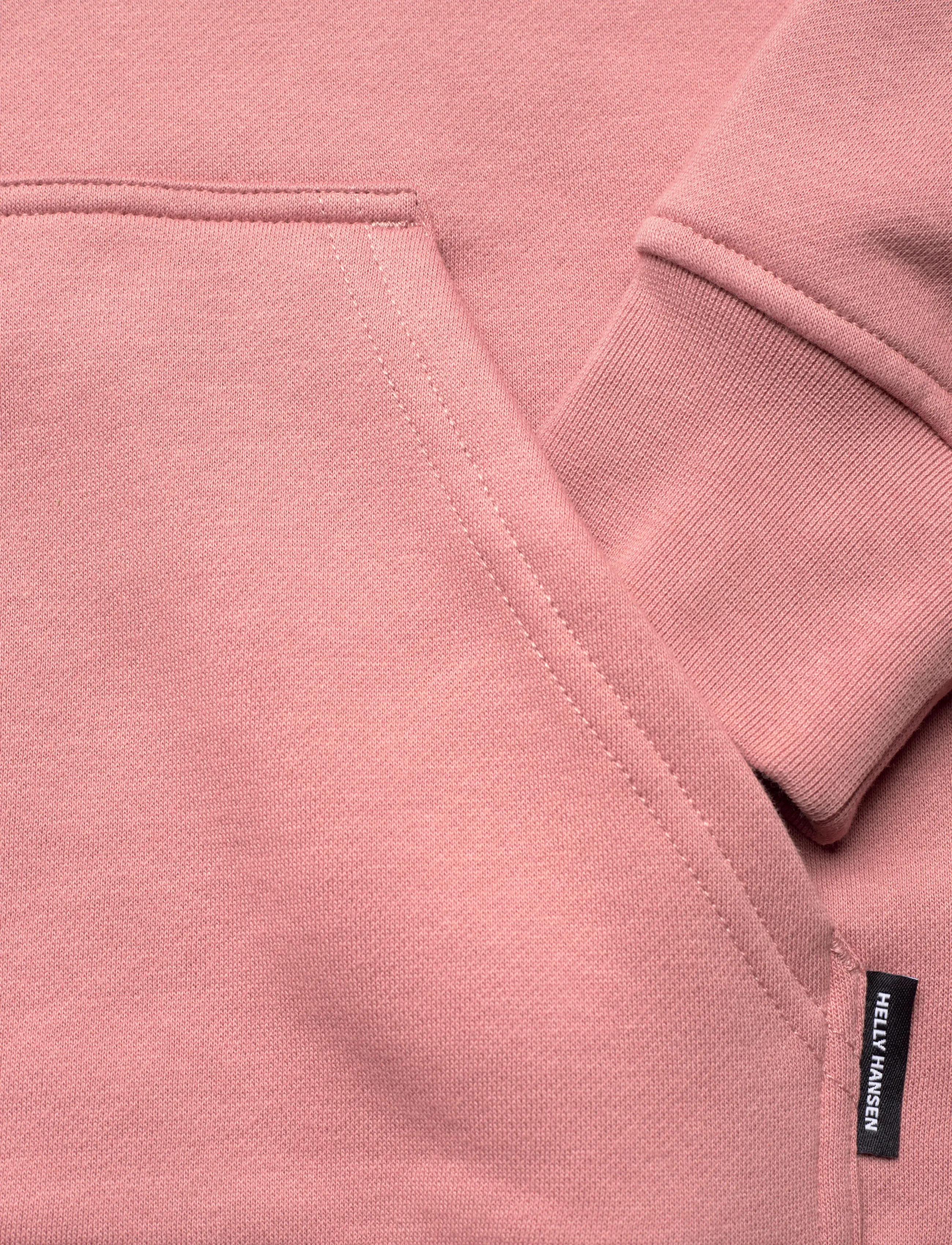Helly Hansen - W ELEVATE HOODIE - bluzy z kapturem - ash rose - 3