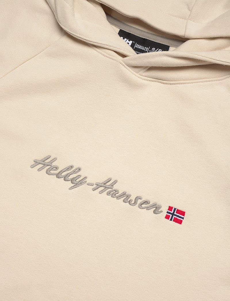 Helly Hansen - W CORE GRAPHIC HOODIE - oberteile - cream - 2