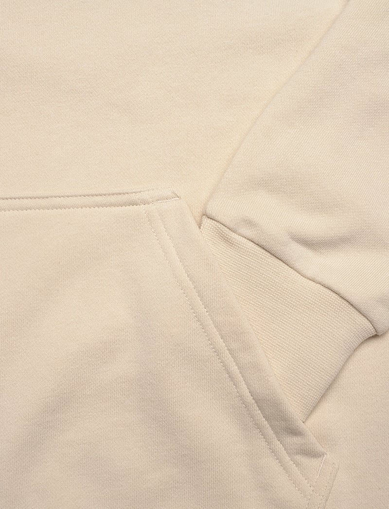 Helly Hansen - W CORE GRAPHIC HOODIE - oberteile - cream - 3