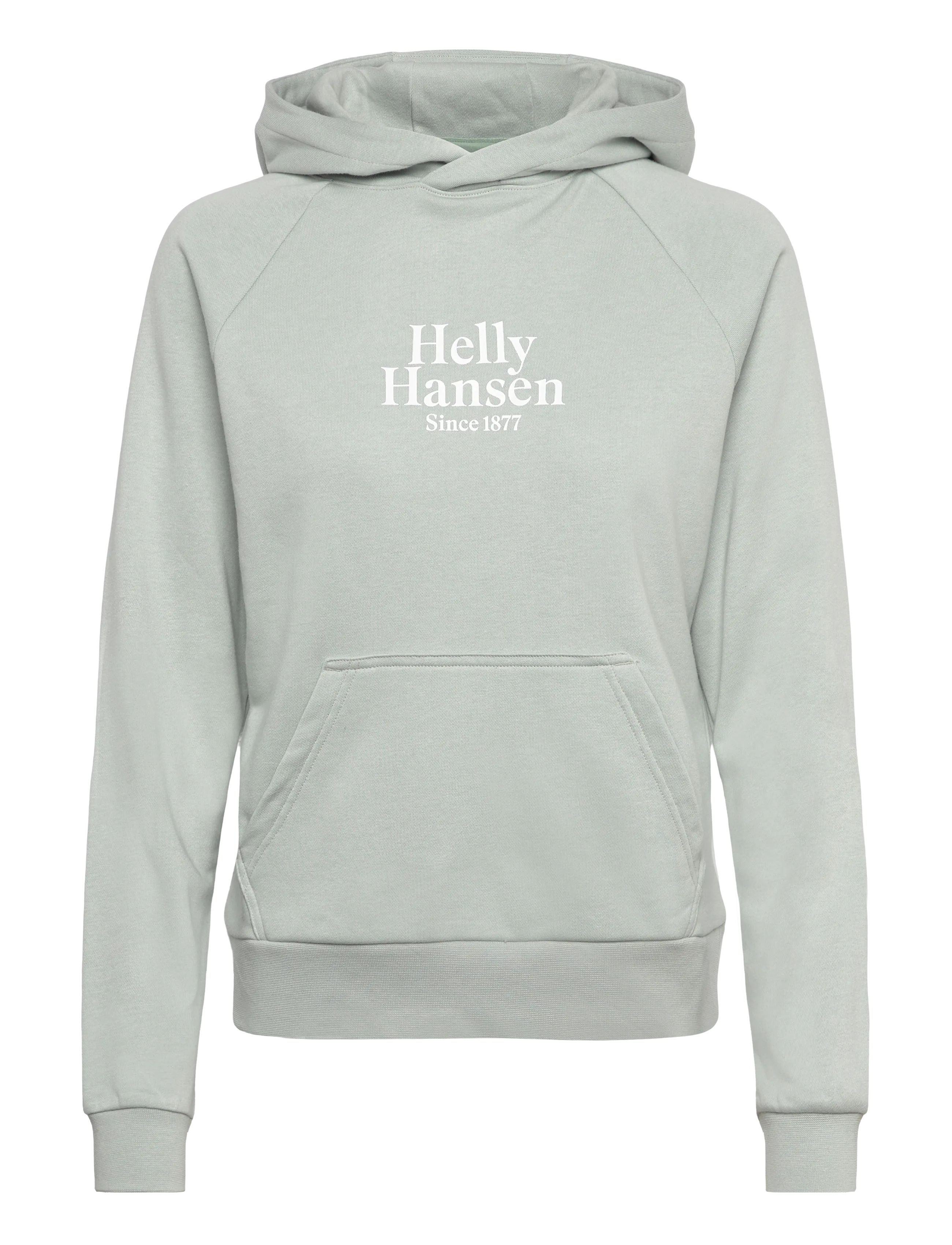Helly Hansen W CORE GRAPHIC HOODIE - Helly Hansen - GREEN MIST / green