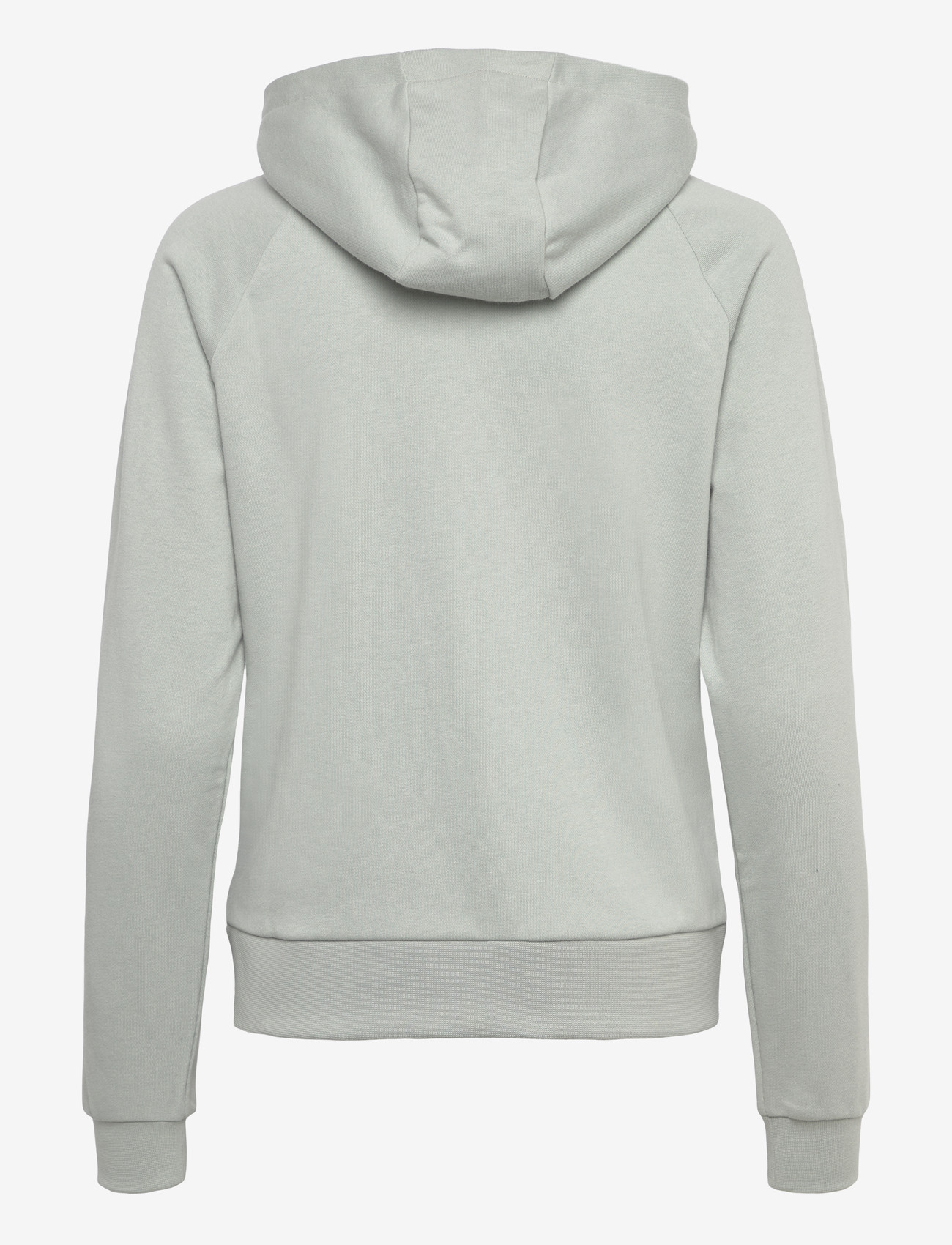 Helly Hansen - W CORE GRAPHIC HOODIE - oberteile - green mist - 1