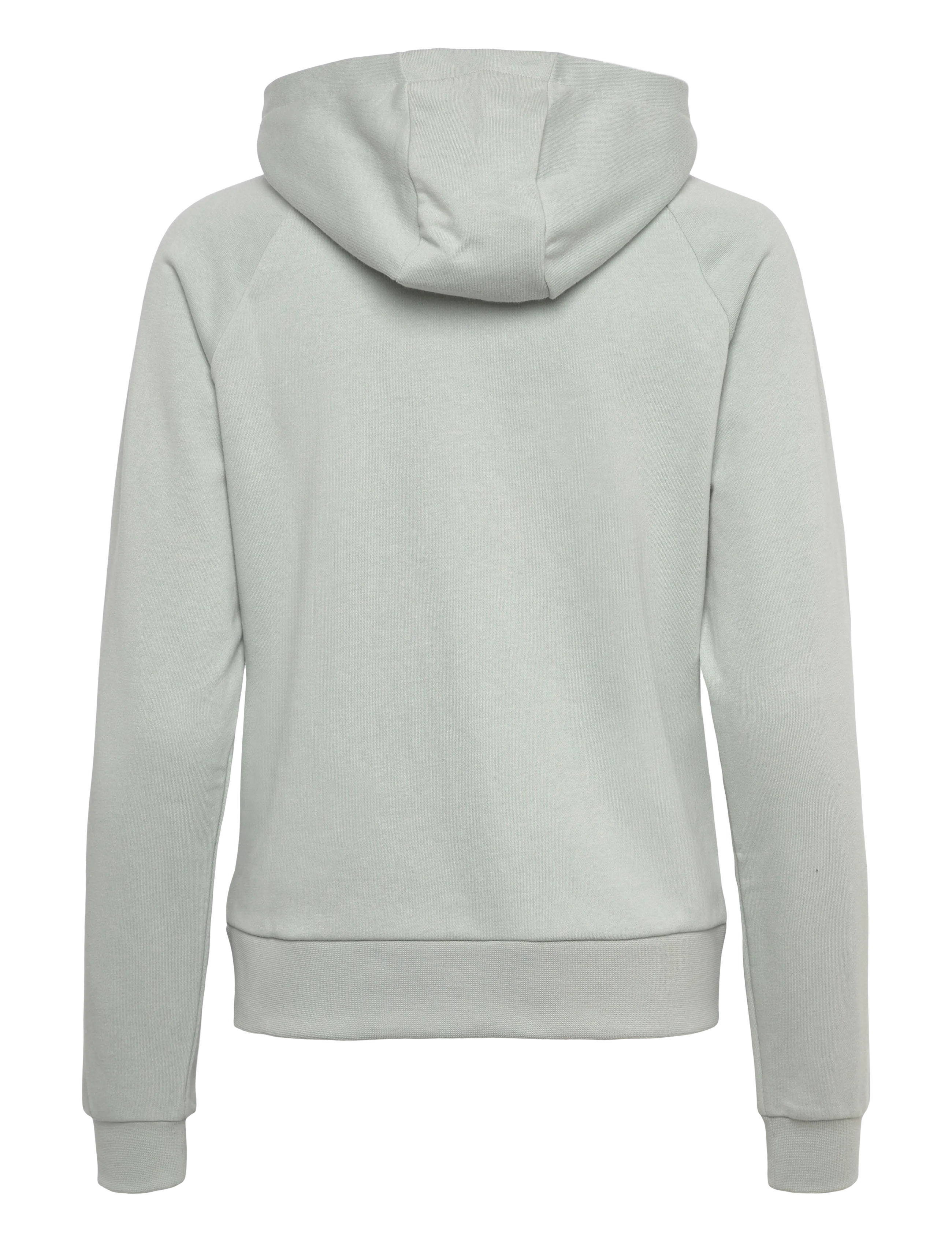Helly Hansen - W CORE GRAPHIC HOODIE - džemperi un adījumi - green mist - 1