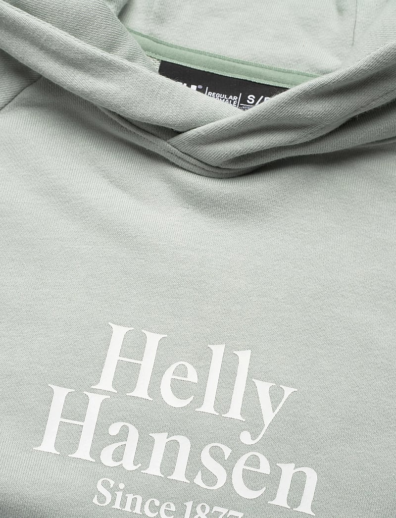 Helly Hansen - W CORE GRAPHIC HOODIE - oberteile - green mist - 2