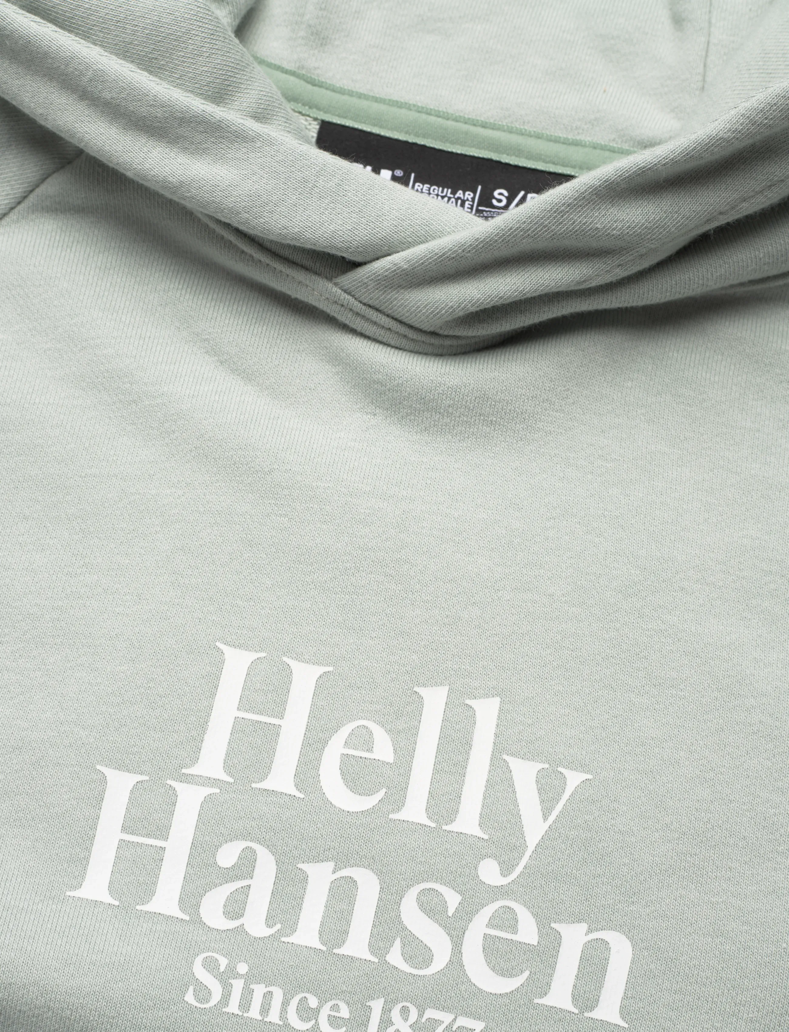 Helly Hansen - W CORE GRAPHIC HOODIE - džemperi un adījumi - green mist - 2