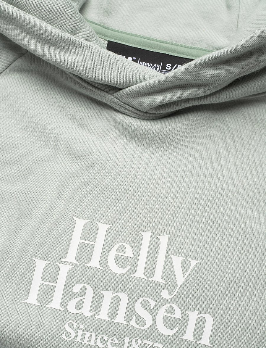 Helly Hansen - W CORE GRAPHIC HOODIE - džemperi un adījumi - green mist - 2