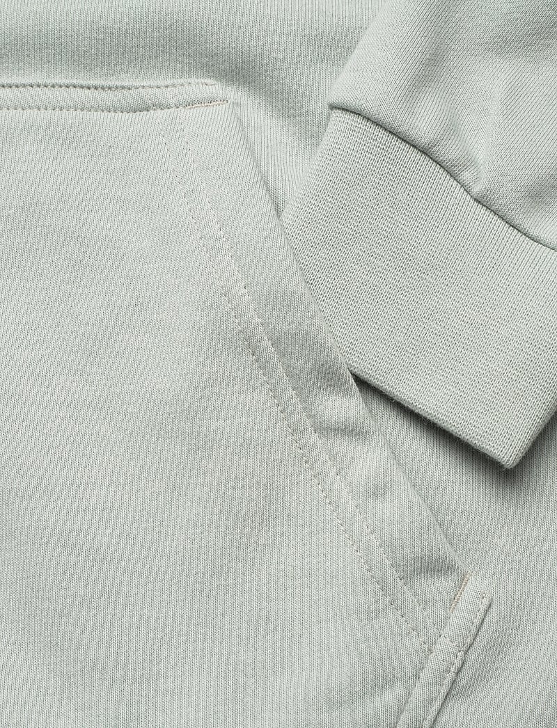 Helly Hansen - W CORE GRAPHIC HOODIE - oberteile - green mist - 3
