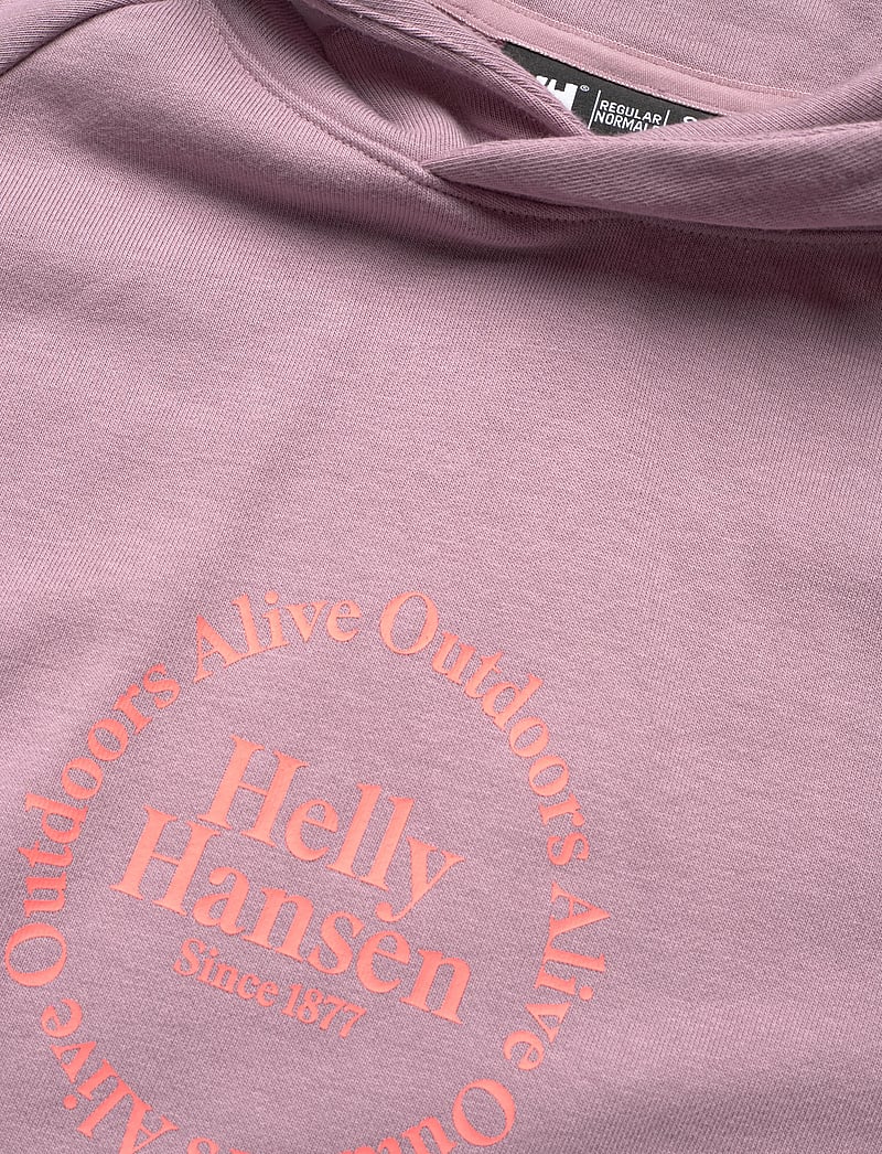 Helly Hansen - W CORE GRAPHIC HOODIE - dressipluusid ja pusad - purple clay - 2