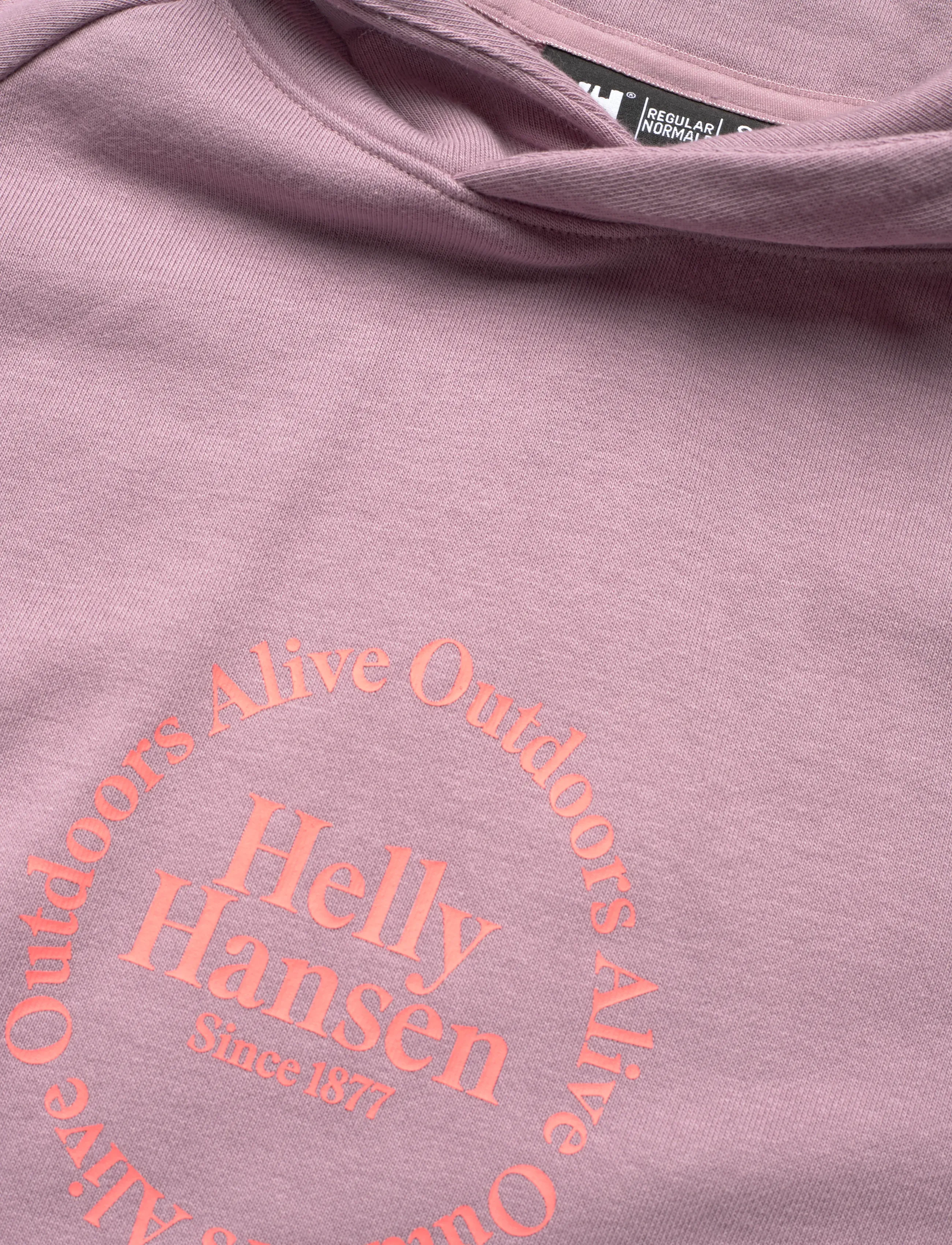 Helly Hansen - W CORE GRAPHIC HOODIE - huvtröjor - purple clay - 2