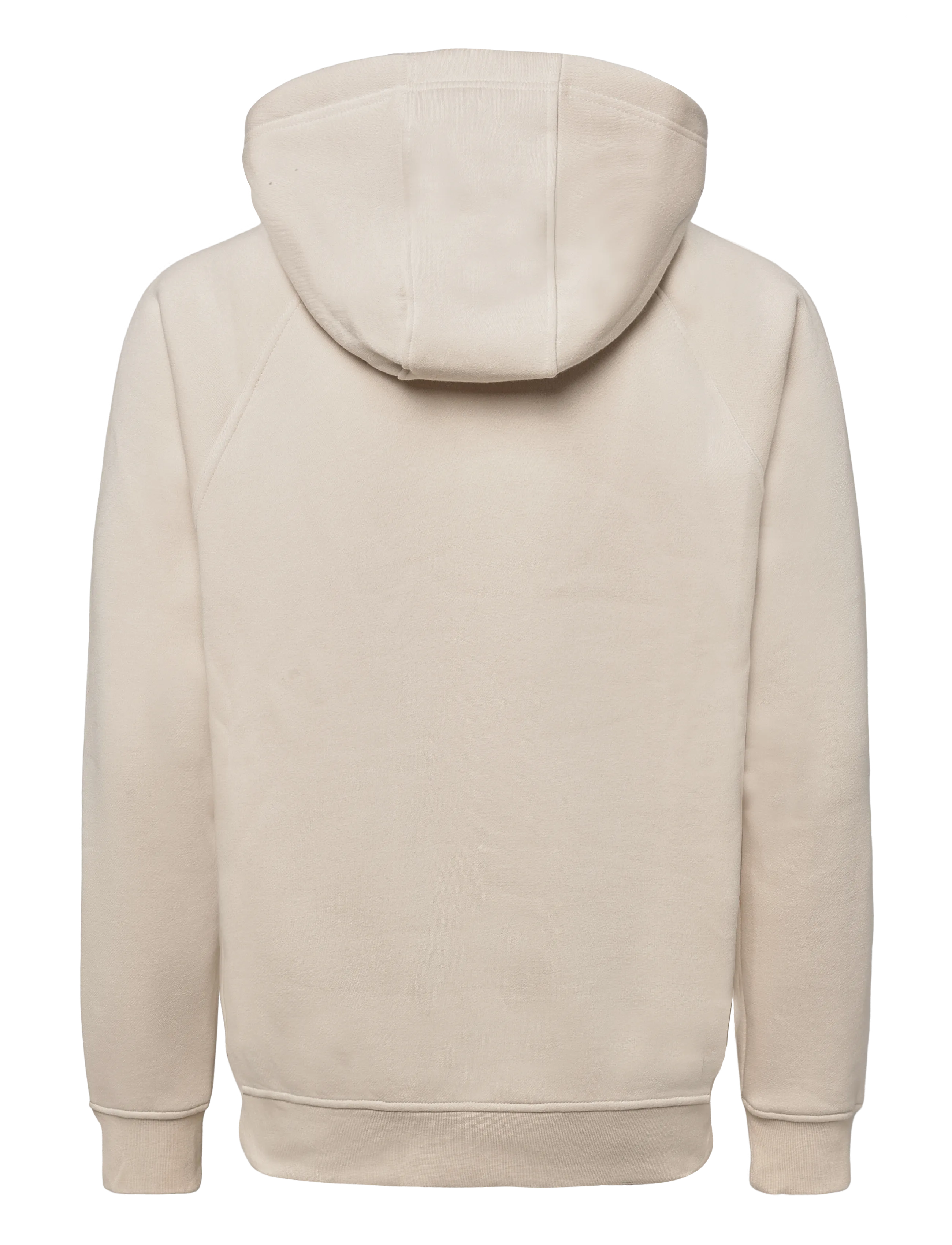 Helly Hansen - ELEVATE HOODIE - sweatshirts - cream - 1