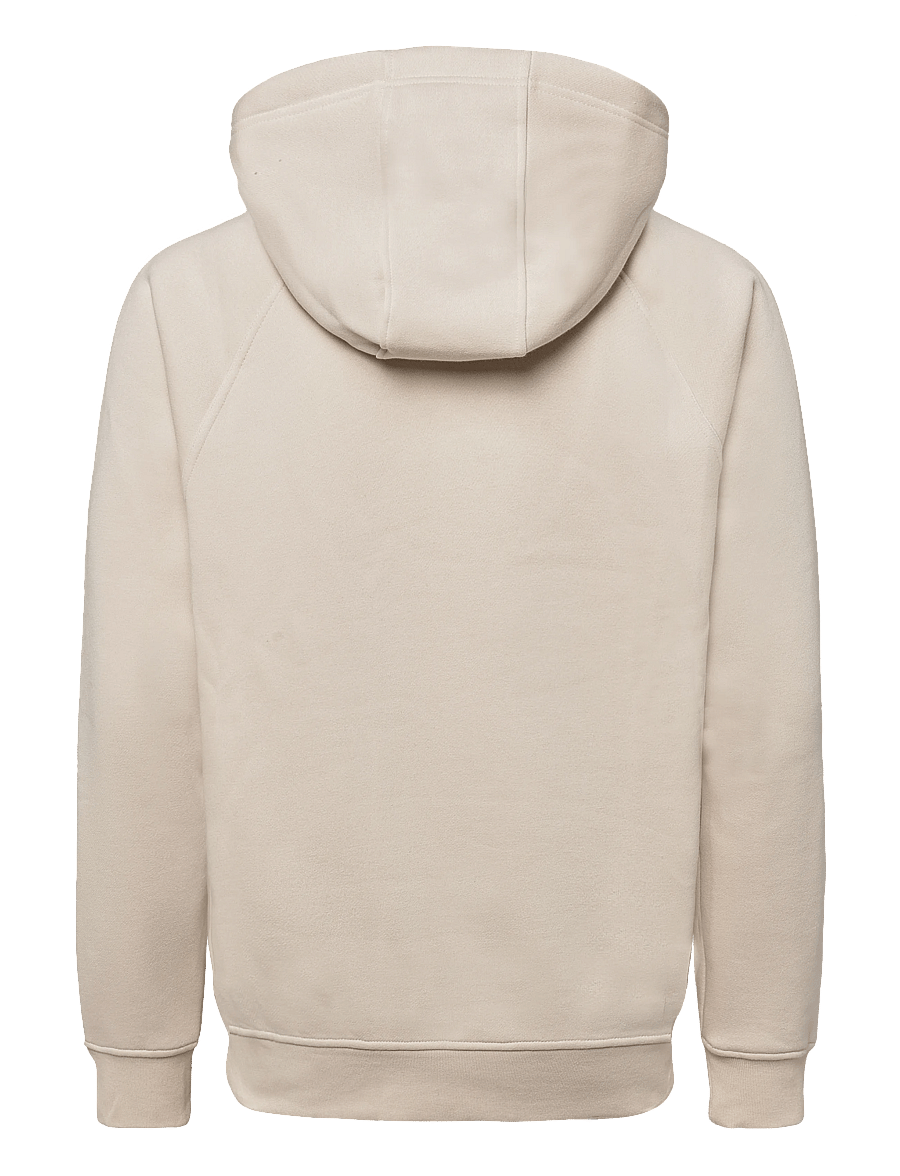 Helly Hansen - ELEVATE HOODIE - sweatshirts - cream - 1