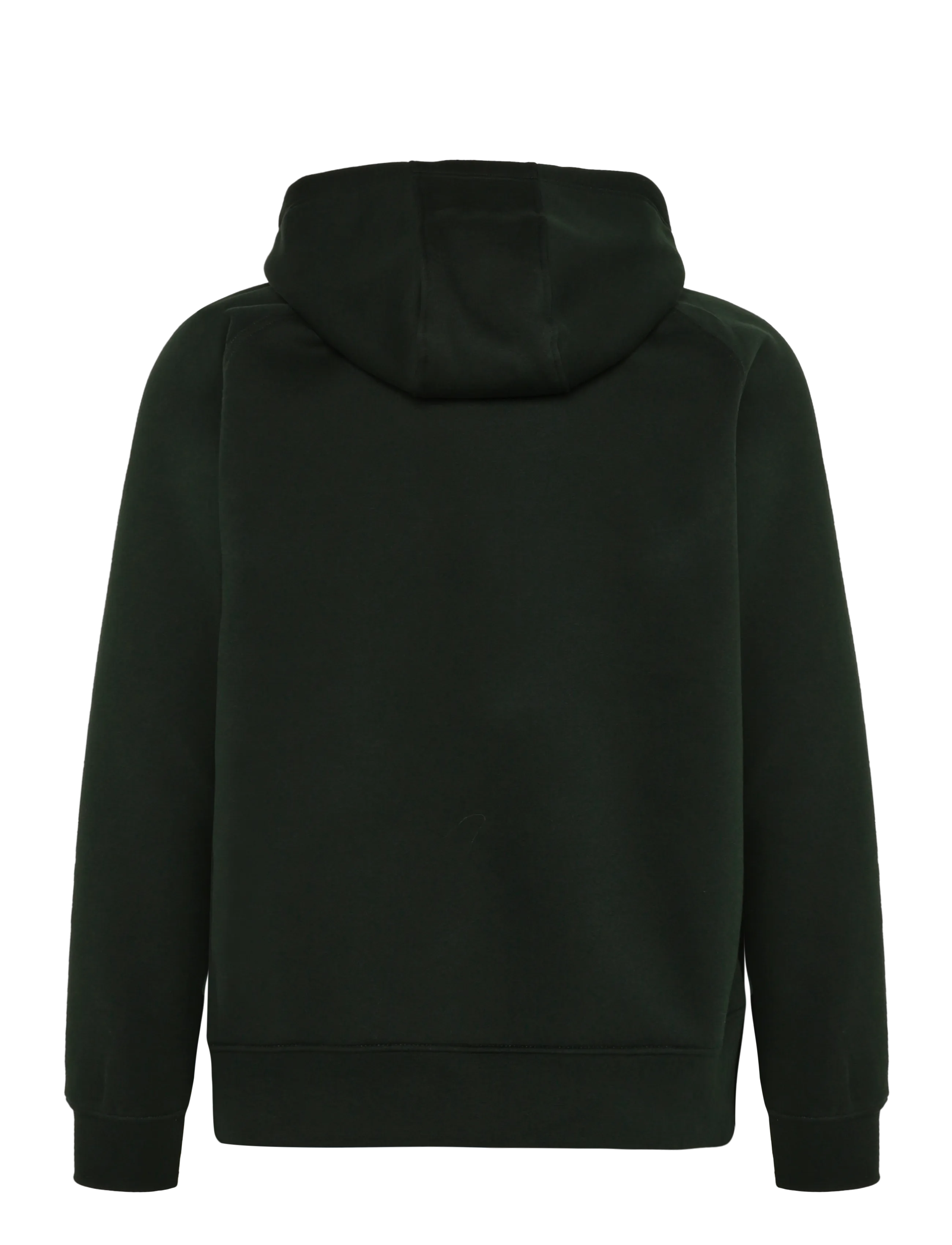 Helly Hansen - ELEVATE HOODIE - sweatshirts - dark jungle - 1