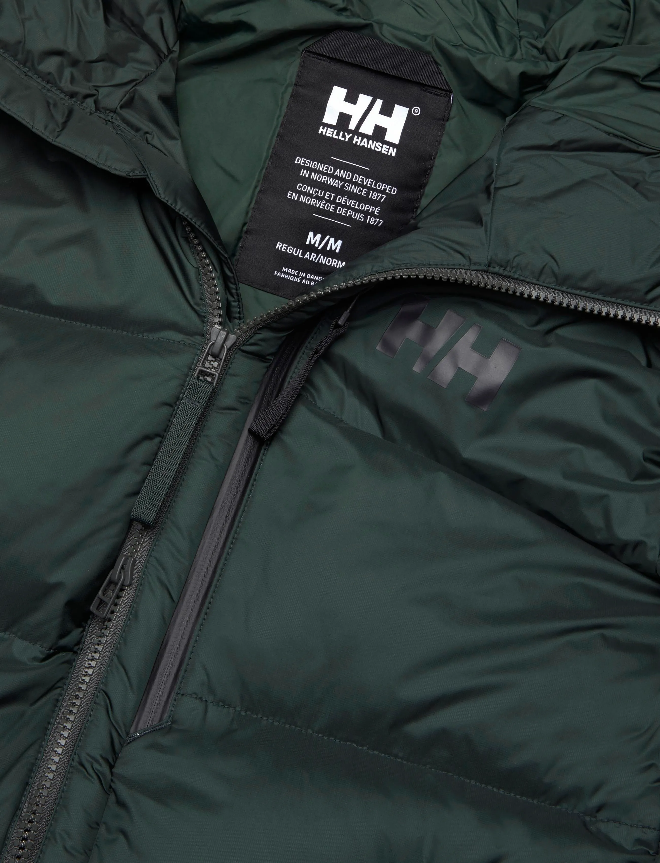 Helly Hansen - ACTIVE WINTER PARKA - herbstersparnisse - dark jungle - 4