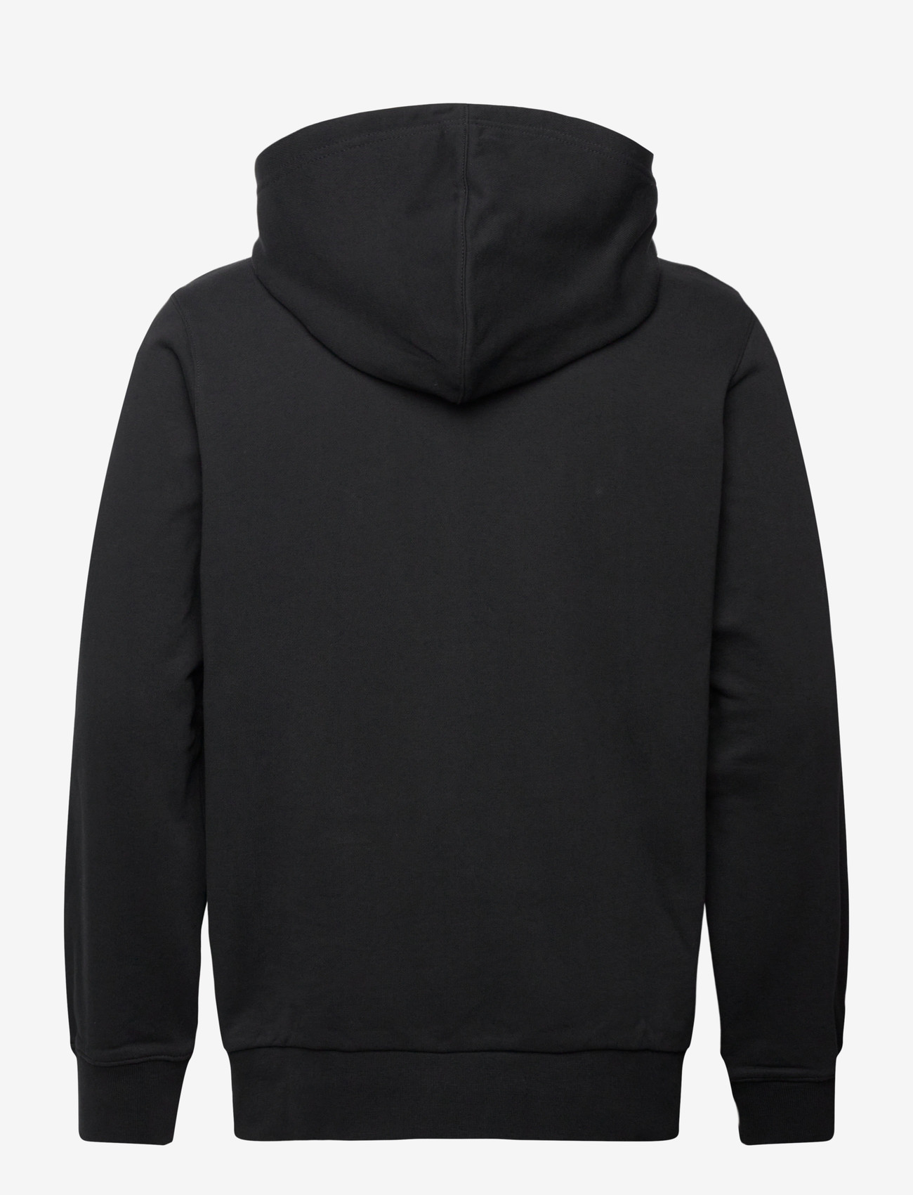 Helly Hansen - CORE GRAPHIC HOODIE - hættetrøjer - black - 1
